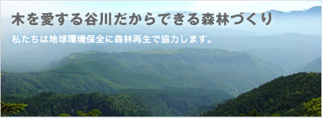 木を愛する谷川だからできる森林づくり 私たちは地球環境保全に森林再生で協力します。