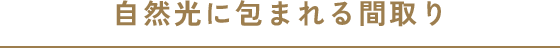 自然光に包まれる間取り